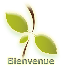 Francais
